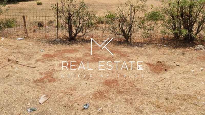 property-img